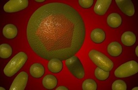 ep hepatitis c