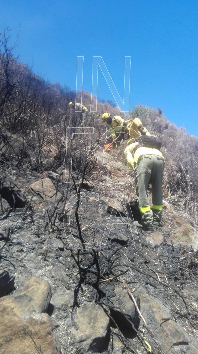 Incendio forestal en Tarifa | INFOCA ep incendio forestaltarifa