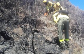 ep incendio forestaltarifa