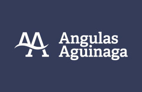 ep logo de angulas aguinaga