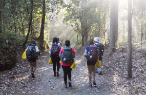 ep peregrinos en el camino de santiago