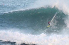ep vaca gigante sur surfista olas
