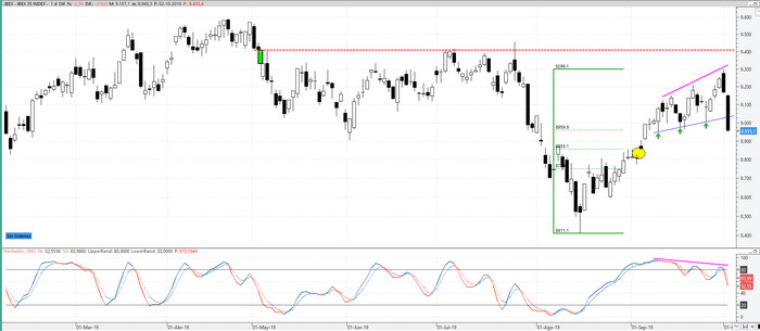 ibex2021019