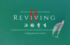 1 1 20241227162526 1 1 20241227162526