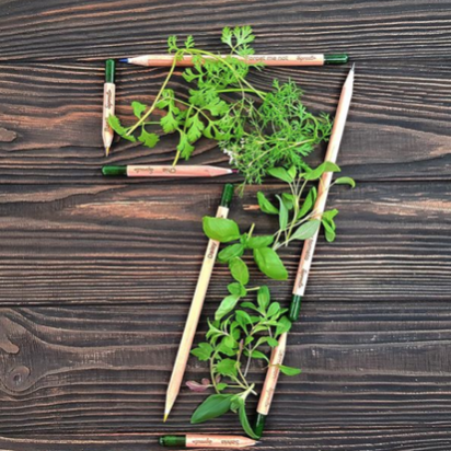 1601373736 captura de pantalla 2020 09 28 a las 101853