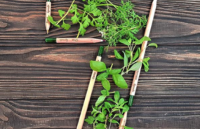 1601373736 captura de pantalla 2020 09 28 a las 101853