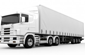 1623410080 transvolando 1623410080 transvolando