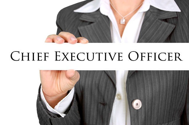 CEO, directivo, directiva, mujer, negocios, empresario CEO, directivo, directiva, mujer, negocios, empresario