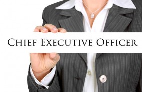 CEO, directivo, directiva, mujer, negocios, empresario CEO, directivo, directiva, mujer, negocios, empresario