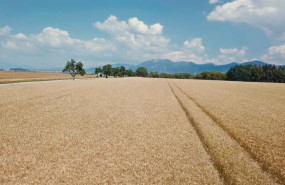 ep archivo   campo suelo agrario