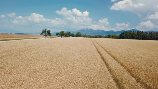 ep archivo   campo suelo agrario