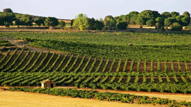 ep archivo   ruta del vino ribera del duero