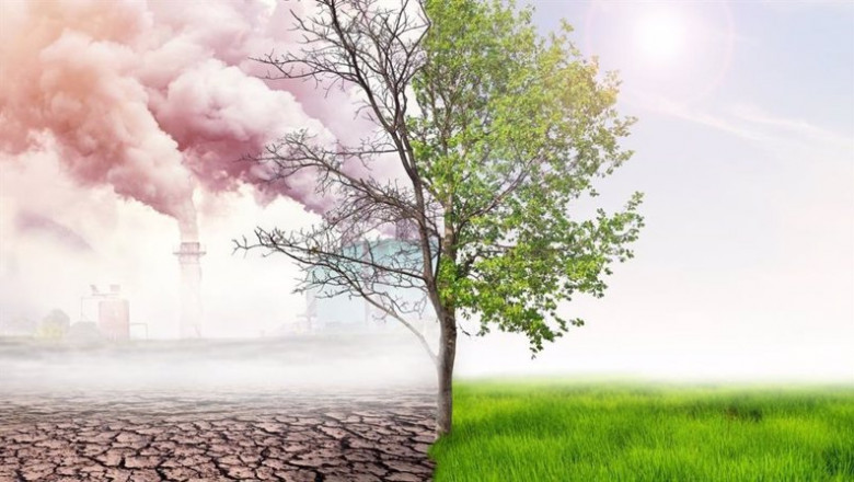 El Comité de Basilea acuerda consultar los principios para mitigar los riesgos financieros relacionados con el clima | TWITTER COMITÉ DE BASILEA ep el comite de basilea acuerda consultar los principios para mitigar los riesgos financieros