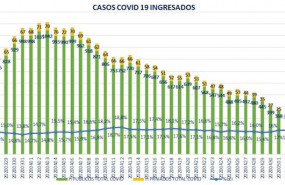 ep evolucion de los ingresos por coronavirus en los hospitales aragoneses