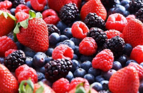 ep frutos rojos de huelva