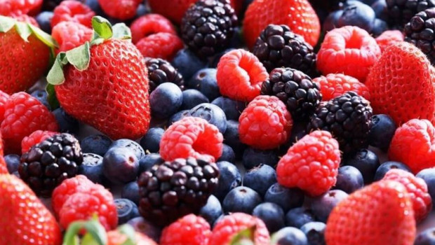 ep frutos rojos de huelva ep frutos rojos de huelva