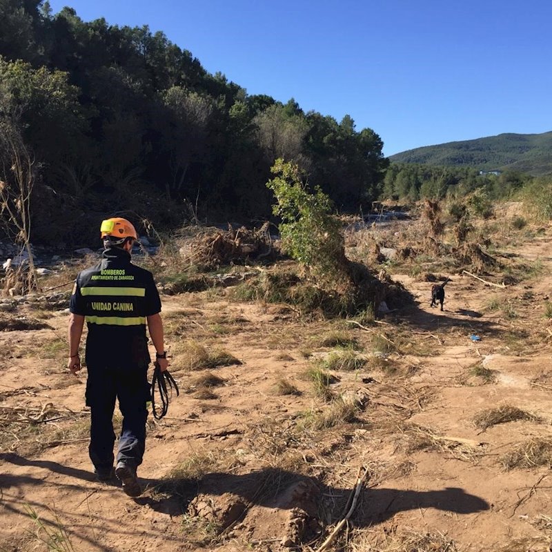 ep guia canino en la zona del rio francoli donde se busca a los desaparecidos por la gota fria ep guia canino en la zona del rio francoli donde se busca a los desaparecidos por la gota fria