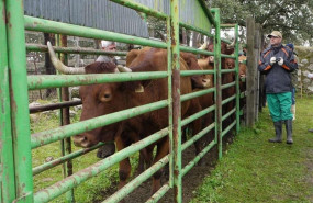 ep la junta recibede 1400 solicitudesayudala creacionempresasjovenes agricultores