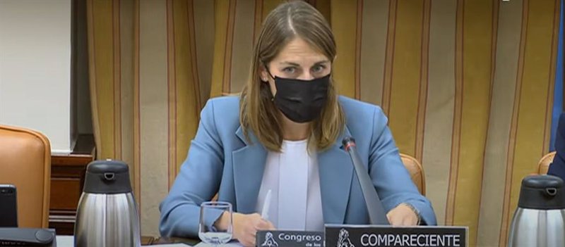 ep la presidenta del fondo de reestructuracion ordenada bancaria frob paula conthe durante su ep la presidenta del fondo de reestructuracion ordenada bancaria frob paula conthe durante su