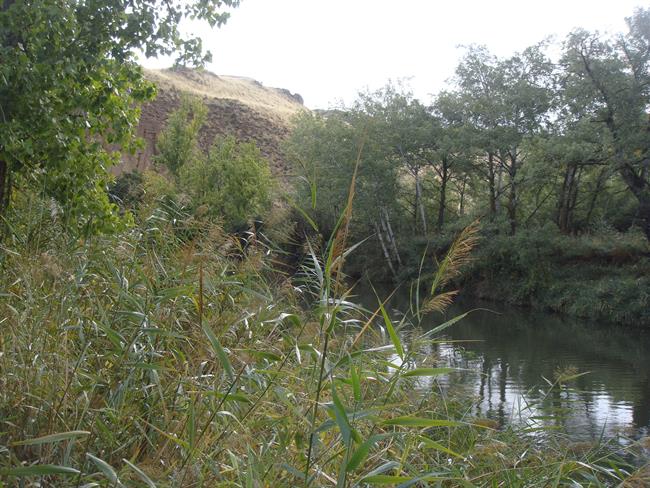 ep rio henaresalcala