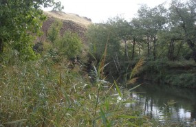 ep rio henaresalcala