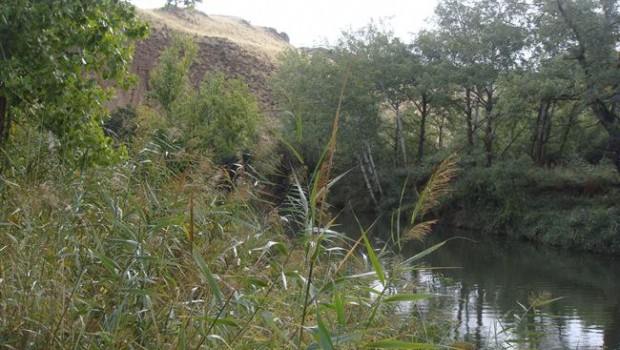 ep rio henaresalcala