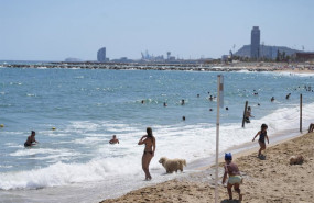 ep varias personas con sus perros en el area de perros de la playa de llevant a 21 de julio de 2025