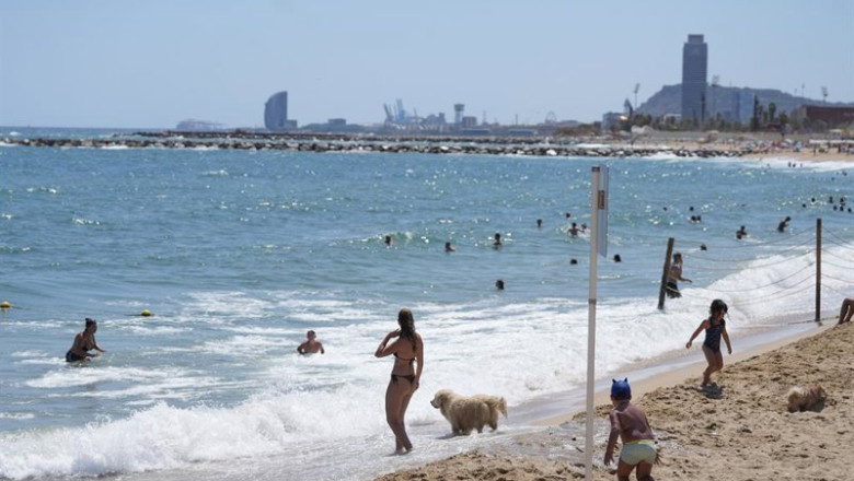 ep varias personas con sus perros en el area de perros de la playa de llevant a 21 de julio de 2025 ep varias personas con sus perros en el area de perros de la playa de llevant a 21 de julio de 2025