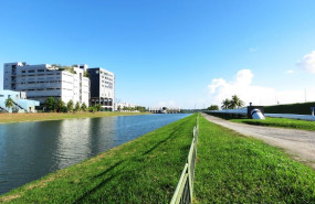 pexels pexels photo 532006 pexels pexels photo 532006