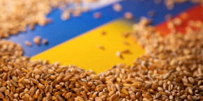 ukraine 75 millions de tonnes de cereales pourraient etre bloquees d ici l automne dit zelensky 