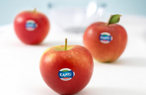 1583235468 manzanas 1583235468 manzanas