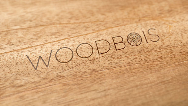 dl woodbois ltd wbi materiales básicos recursos básicos materiales industriales objetivo forestal logo 20240205 1403
