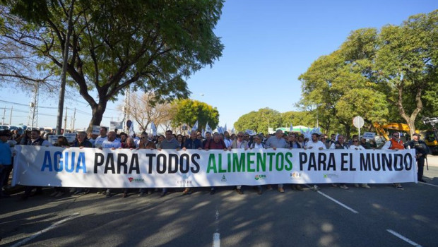 ep agricultores de huelva se manifiestan en sevilla este jueves para reivindicar las