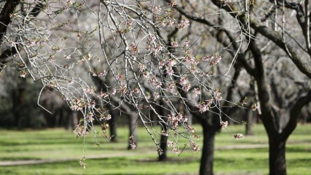 ep arbolesretiro