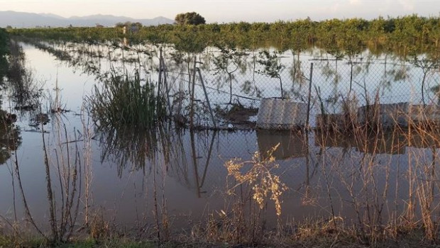 ep archivo   danos ocasionados por la dana