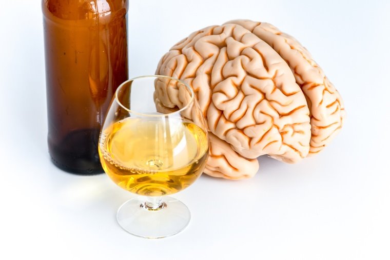 ep beber alcohol cerebro