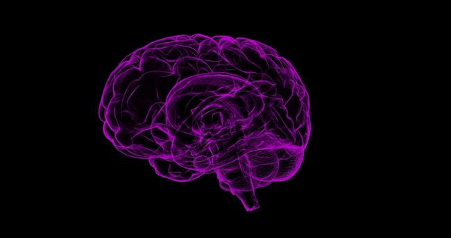 ep cerebro 20171009134502