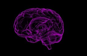 ep cerebro 20171009134502