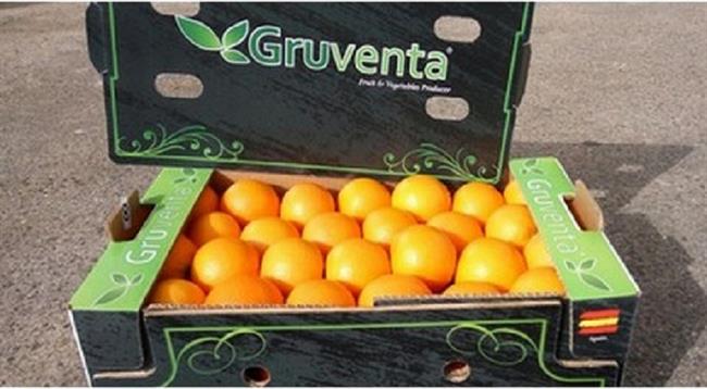 Cítricos Gruventa | GRUVENTA ep citricos gruventa