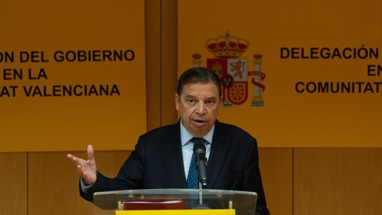 El ministro de Agricultura, Pesca y Alimentación, Luis Planas, valora la labor de Mercasa durante la dana, en rueda de prensa en la sede de la Delegación del Gobierno en la Comunidad Valenciana, a 13 de noviembre de 2025, en Valencia | Jorge Gil - Europa Press ep el ministro de agricultura pesca y alimentacion luis planas valora la labor de mercasa durante la