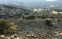 ep imagenincendioalmorox-cadalso ep imagenincendioalmorox-cadalso