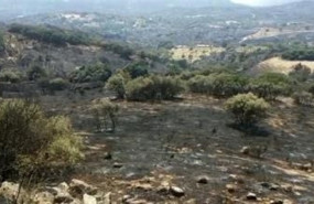 ep imagenincendioalmorox-cadalso ep imagenincendioalmorox-cadalso