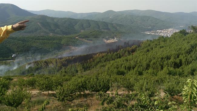 Incendio en Pinofraqueado | JUNTA DE EXTREMADURA ep incendiopinofraqueado