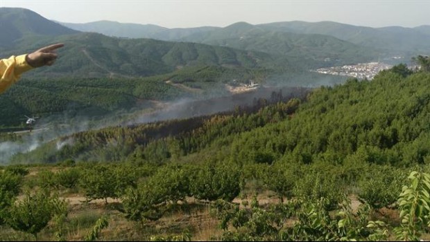 ep incendiopinofraqueado