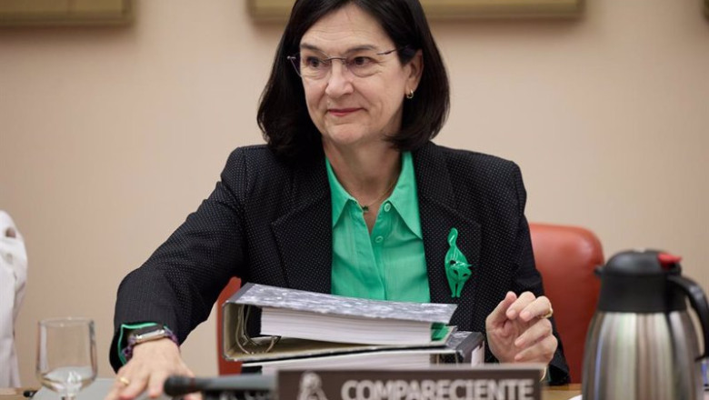 La presidenta de la Comisión Nacional de los Mercados y Competencia (CNMC), Cani Fernández. | Jesús Hellín - Europa Press ep la presidenta de la comision nacional de los mercados y competencia cnmc cani fernandez comparece