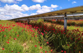 ep planta fotovoltaica en portugal