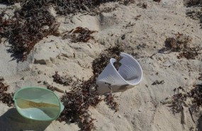 ep plasticola playa contaminacion recurso medio ambiente