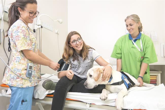 ep terapia asistidaperros