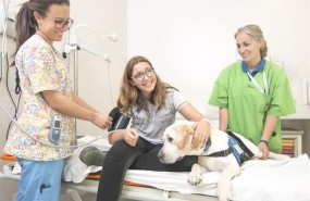 ep terapia asistidaperros