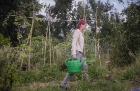 ep una mujer riega un huerto urbano en el parque de san jeronimo durante la desecalada en los que se